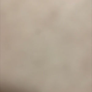 Meet your Posher, Bobo